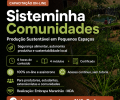 Curso gratuito e on-line vai ensinar sobre produção sustentável em pequenos espaços