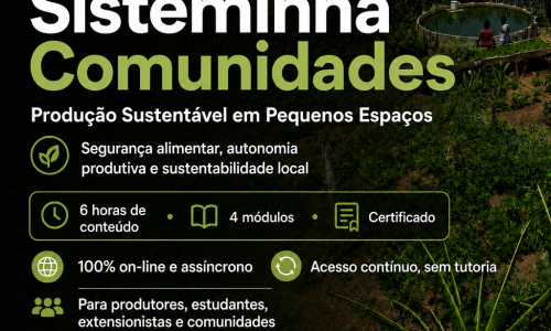 Curso gratuito e on-line vai ensinar sobre produção sustentável em pequenos espaços