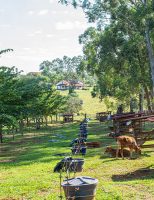 Conheça um manual com 20 coisa que o produtor rural não pode esquecer no trabalho com gado, agricultura e produção de forragem