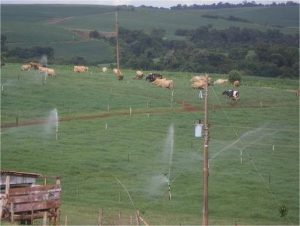 A irrigação entra no planejamento da propriedade para solucionar reposição de alimento na pecuária