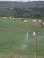 A irrigação entra no planejamento da propriedade para solucionar reposição de alimento na pecuária