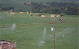 A irrigação entra no planejamento da propriedade para solucionar reposição de alimento na pecuária