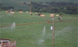 A irrigação entra no planejamento da propriedade para solucionar reposição de alimento na pecuária