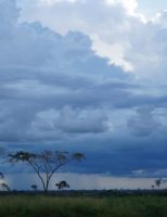 Um documento da Embrapa apresenta medidas para gerenciar o risco climático na agricultura brasileira