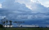 Um documento da Embrapa apresenta medidas para gerenciar o risco climático na agricultura brasileira