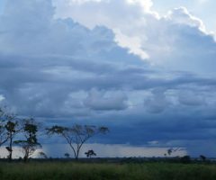 Um documento da Embrapa apresenta medidas para gerenciar o risco climático na agricultura brasileira