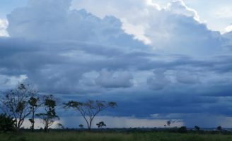 Um documento da Embrapa apresenta medidas para gerenciar o risco climático na agricultura brasileira