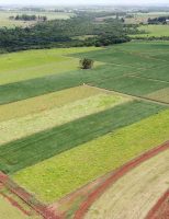 Soja mais produtiva com o avanço dos níveis de manejo do solo