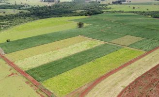 Soja mais produtiva com o avanço dos níveis de manejo do solo