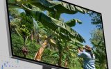 Um curso para mostrar como a revolução digital pode beneficiar a agricultura