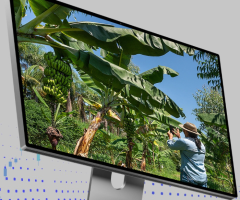 Um curso para mostrar como a revolução digital pode beneficiar a agricultura