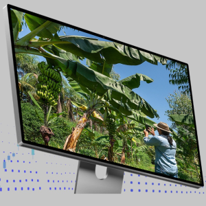 Um curso para mostrar como a revolução digital pode beneficiar a agricultura