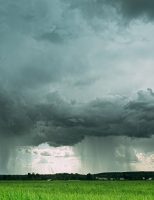 Acompanhe os efeitos do El Niño em todas as regiões brasileiras