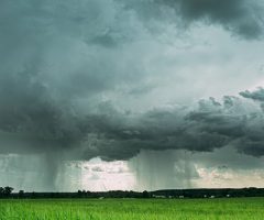 Acompanhe os efeitos do El Niño em todas as regiões brasileiras
