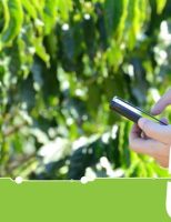 Pesquisadores vão criar novas tecnologias a partir da necessidade dos produtores: é o projeto de tecnologia Semear Digital