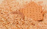 Indústria de biscoitos já pode substituir o trigo pela farinha de triticale