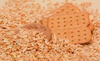 Indústria de biscoitos já pode substituir o trigo pela farinha de triticale