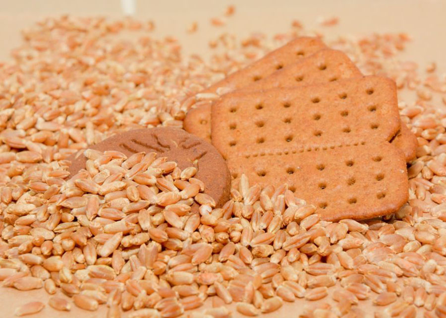 Indústria de biscoitos já pode substituir o trigo pela farinha de triticale