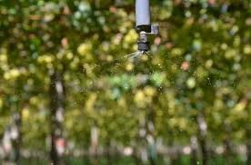 Criado um aplicativo para o manejo correto da irrigação em plantações de frutas tropicais