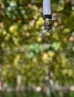 Criado um aplicativo para o manejo correto da irrigação em plantações de frutas tropicais