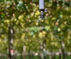 Criado um aplicativo para o manejo correto da irrigação em plantações de frutas tropicais