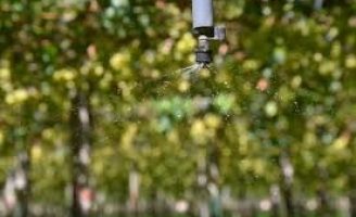 Criado um aplicativo para o manejo correto da irrigação em plantações de frutas tropicais