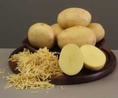 O mercado ganha uma semente de batata mais resistente e de alta produtividade