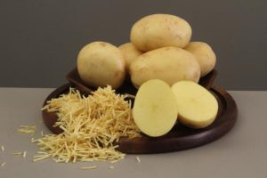 O mercado ganha uma semente de batata mais resistente e de alta produtividade