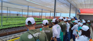 Cursos de graça para qualificar interessados na área rural