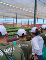 Cursos de graça para qualificar interessados na área rural