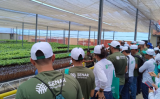 Cursos de graça para qualificar interessados na área rural