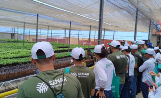 Cursos de graça para qualificar interessados na área rural