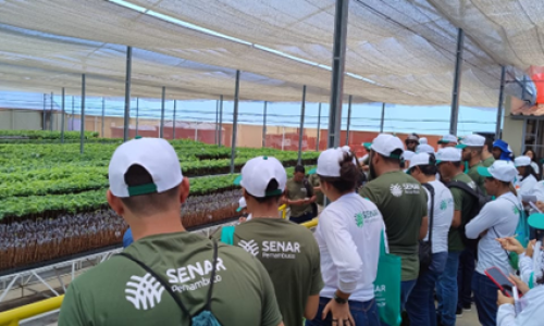 Cursos de graça para qualificar interessados na área rural